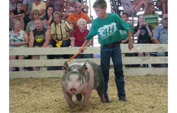 Reserve Grand Champion Cass County Fair