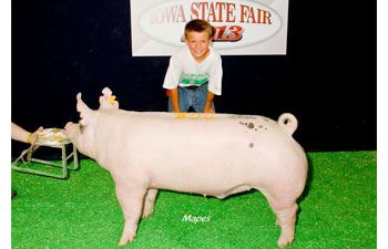 13 2nd Place barrow Iowa State Fair