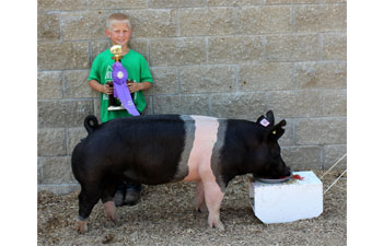 13 Grand Champion Market Hog Dunlap Open Show