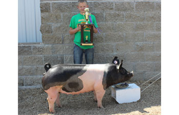 13 Grand Gilt Kossuth County