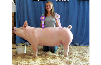 13 Grand Gilt Kossuth County