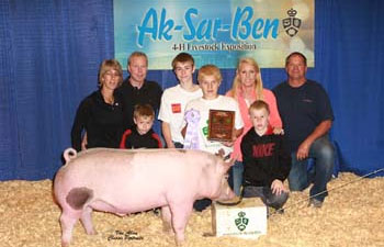 Gibson Showpigs Champion