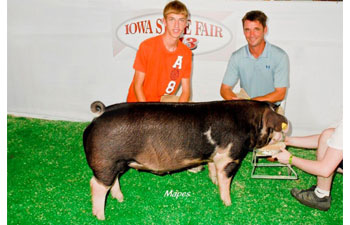 13 Reserve Grand Poland Iowa State Fair