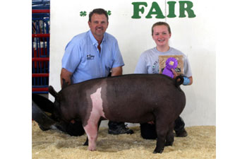 Gisbon Showpigs Champion