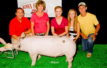 13 2nd Place barrow Iowa State Fair