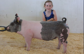 13 CHampion Purebred Barrow NBS Junior Barrow Classic