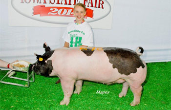 13 CHampion Purebred Barrow NBS Junior Barrow Classic