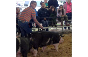 13 CHampion Purebred Barrow NBS Junior Barrow Classic