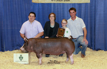 13 CHampion Purebred Barrow NBS Junior Barrow Classic