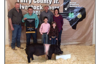 13 CHampion Purebred Barrow NBS Junior Barrow Classic