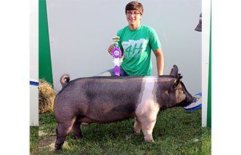 13 CHampion Purebred Barrow NBS Junior Barrow Classic