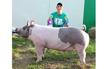 13 CHampion Purebred Barrow NBS Junior Barrow Classic