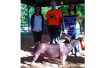 13 CHampion Purebred Barrow NBS Junior Barrow Classic