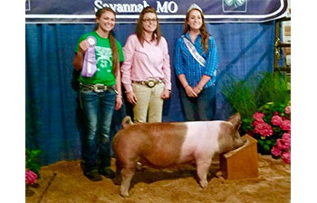 13 CHampion Purebred Barrow NBS Junior Barrow Classic