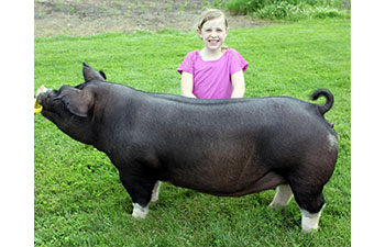 13 CHampion Purebred Barrow NBS Junior Barrow Classic