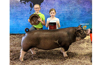 13 CHampion Purebred Barrow NBS Junior Barrow Classic