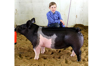 13 CHampion Purebred Barrow NBS Junior Barrow Classic