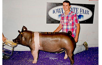 13 CHampion Purebred Barrow NBS Junior Barrow Classic