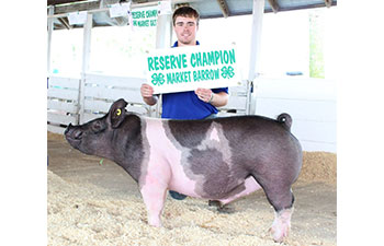 13 CHampion Purebred Barrow NBS Junior Barrow Classic