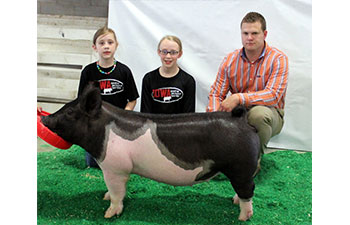 13 CHampion Purebred Barrow NBS Junior Barrow Classic