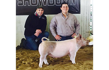 13 CHampion Purebred Barrow NBS Junior Barrow Classic