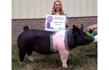 13 CHampion Purebred Barrow NBS Junior Barrow Classic