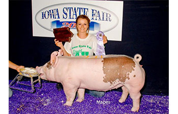 13 CHampion Purebred Barrow NBS Junior Barrow Classic