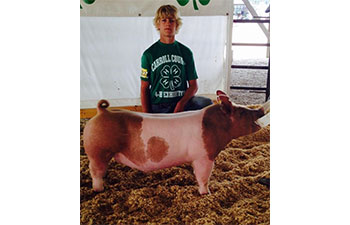 13 CHampion Purebred Barrow NBS Junior Barrow Classic