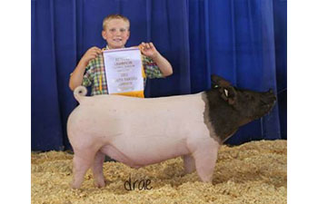 13 CHampion Purebred Barrow NBS Junior Barrow Classic