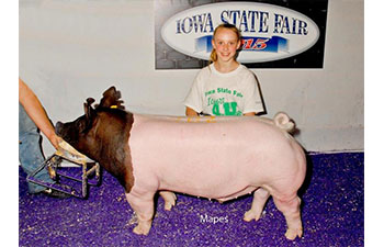 13 CHampion Purebred Barrow NBS Junior Barrow Classic