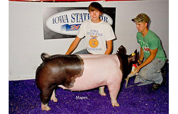 13 CHampion Purebred Barrow NBS Junior Barrow Classic