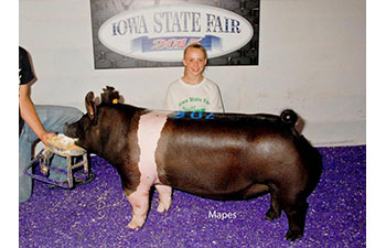 13 CHampion Purebred Barrow NBS Junior Barrow Classic