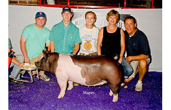 13 CHampion Purebred Barrow NBS Junior Barrow Classic