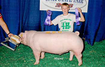 13 CHampion Purebred Barrow NBS Junior Barrow Classic