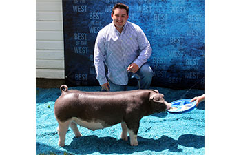 13 CHampion Purebred Barrow NBS Junior Barrow Classic