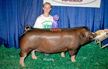 13 CHampion Purebred Barrow NBS Junior Barrow Classic