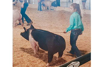 13 CHampion Purebred Barrow NBS Junior Barrow Classic