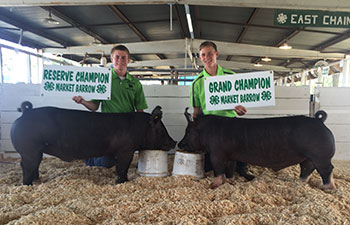 13 CHampion Purebred Barrow NBS Junior Barrow Classic