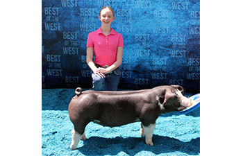 13 CHampion Purebred Barrow NBS Junior Barrow Classic