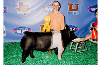 13 CHampion Purebred Barrow NBS Junior Barrow Classic