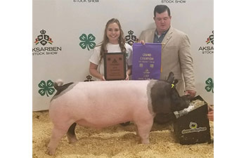 13 CHampion Purebred Barrow NBS Junior Barrow Classic