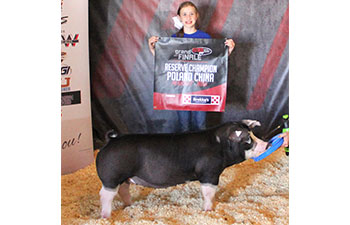 13 CHampion Purebred Barrow NBS Junior Barrow Classic