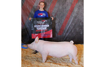 13 CHampion Purebred Barrow NBS Junior Barrow Classic