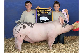 13 CHampion Purebred Barrow NBS Junior Barrow Classic