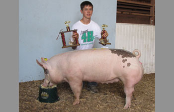 Boone County Champion Gilt