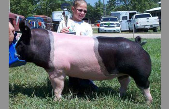 Warren County Reserve Gilt